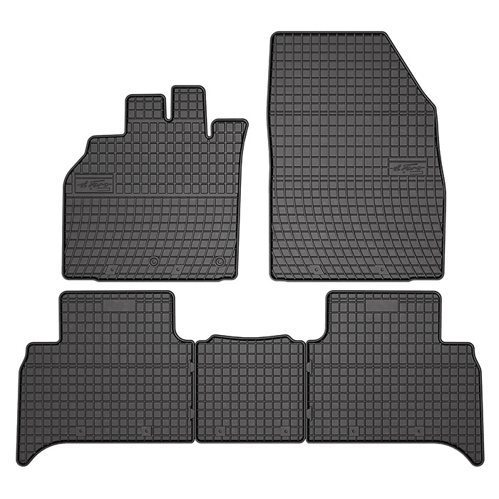 Frogum, gummimatter til Renault Scenic II, III Grand Scenic 03-16